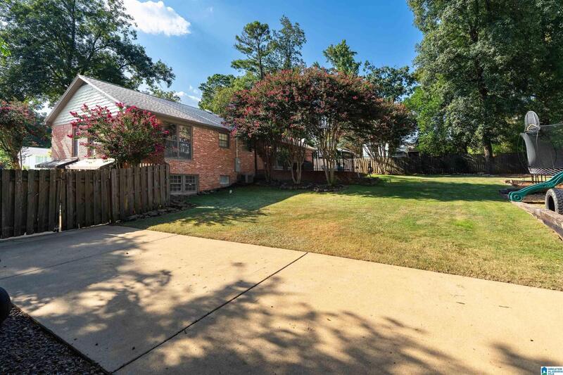Side yard and patio